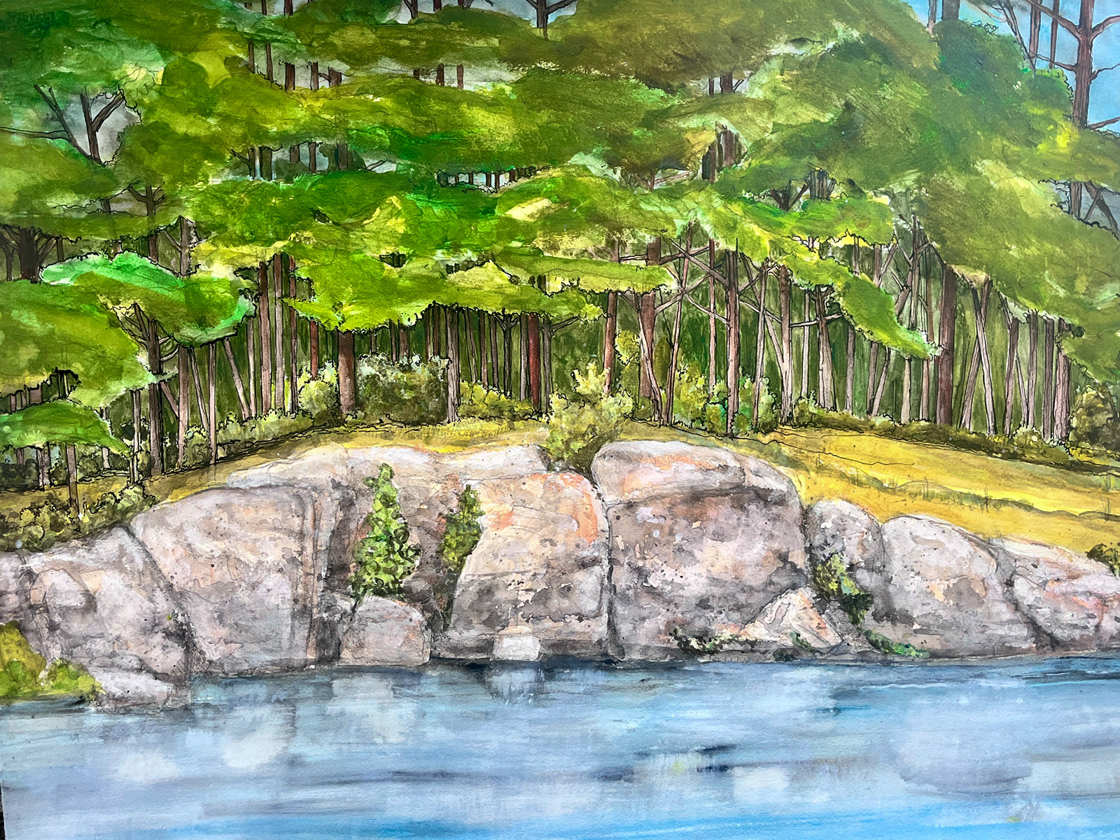 bluesky, lake, trees